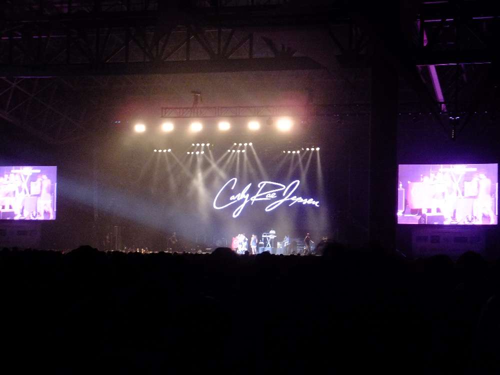 観客が指名されてステージに上がっている。