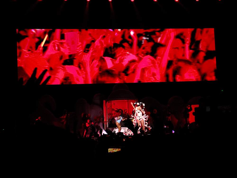 紙吹雪や風船は他のアーティストの公演にもあるので、レディー・ガガだけの特別な演出はなかったと言ってよい。しかし衣装は奇抜だった。