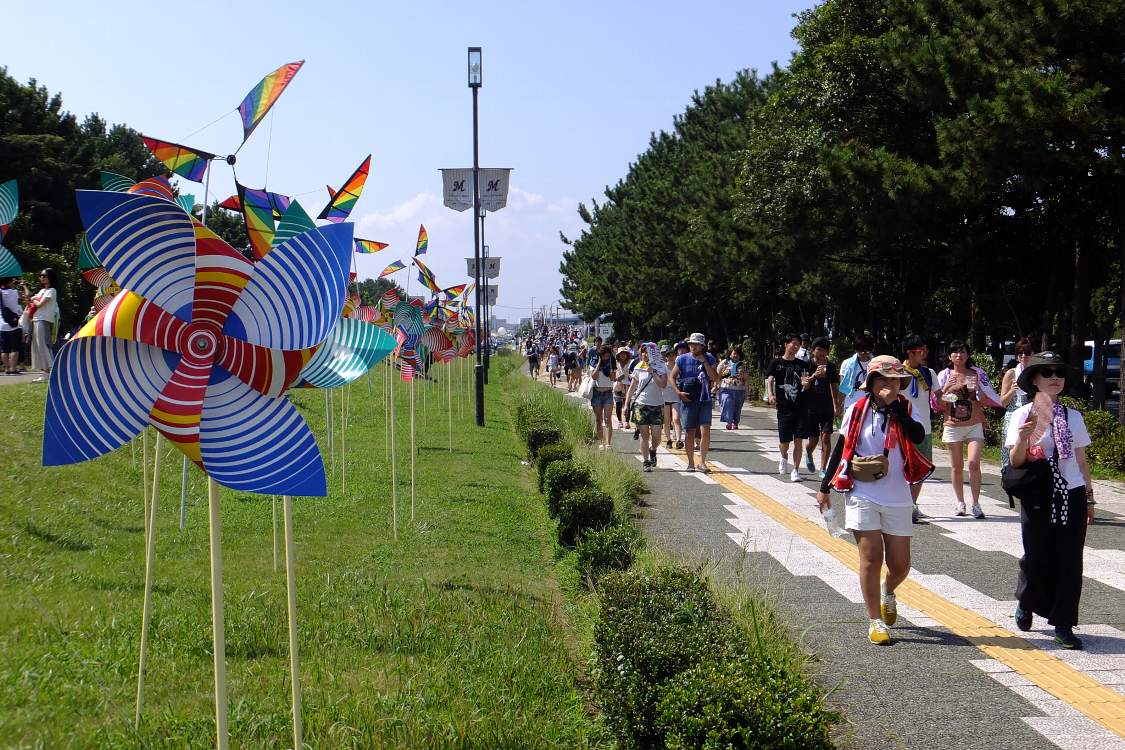 通路全体の風車。大きい風車は強風の時折れていることがある。