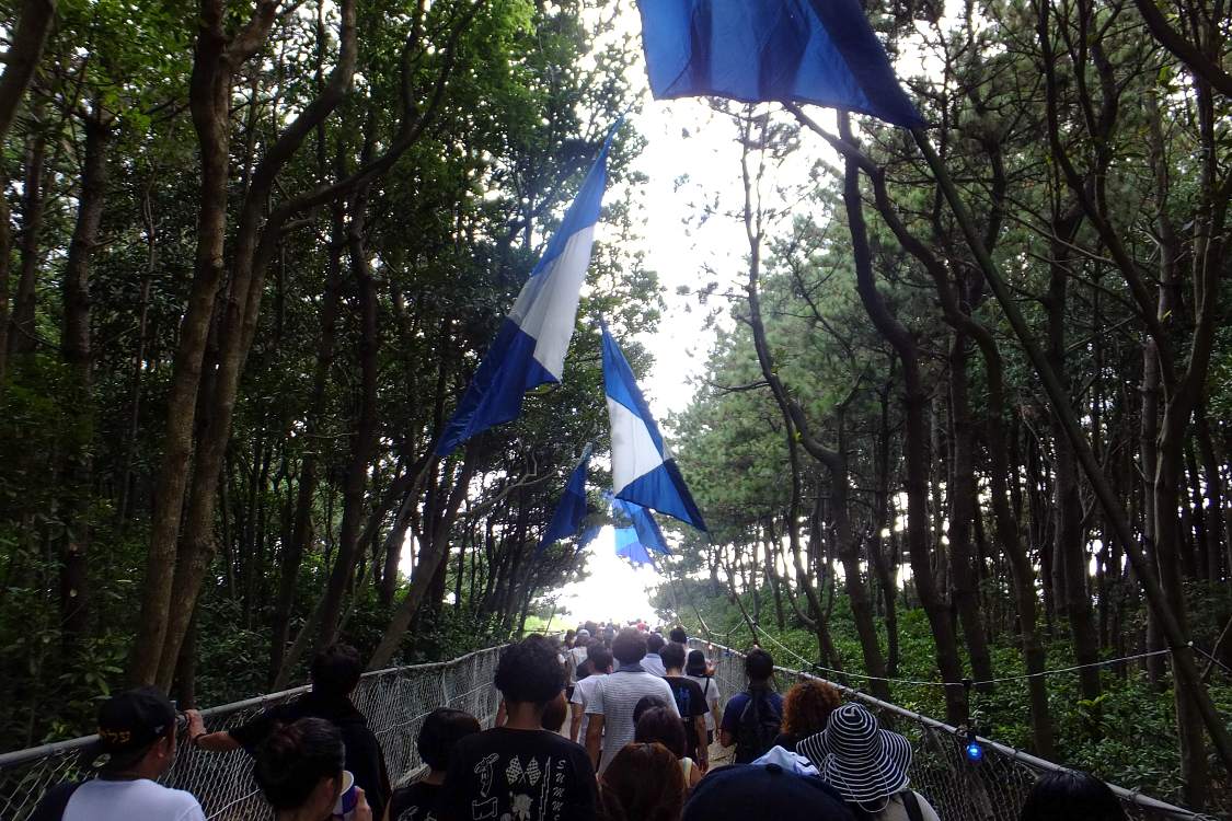 防風林を抜ける。