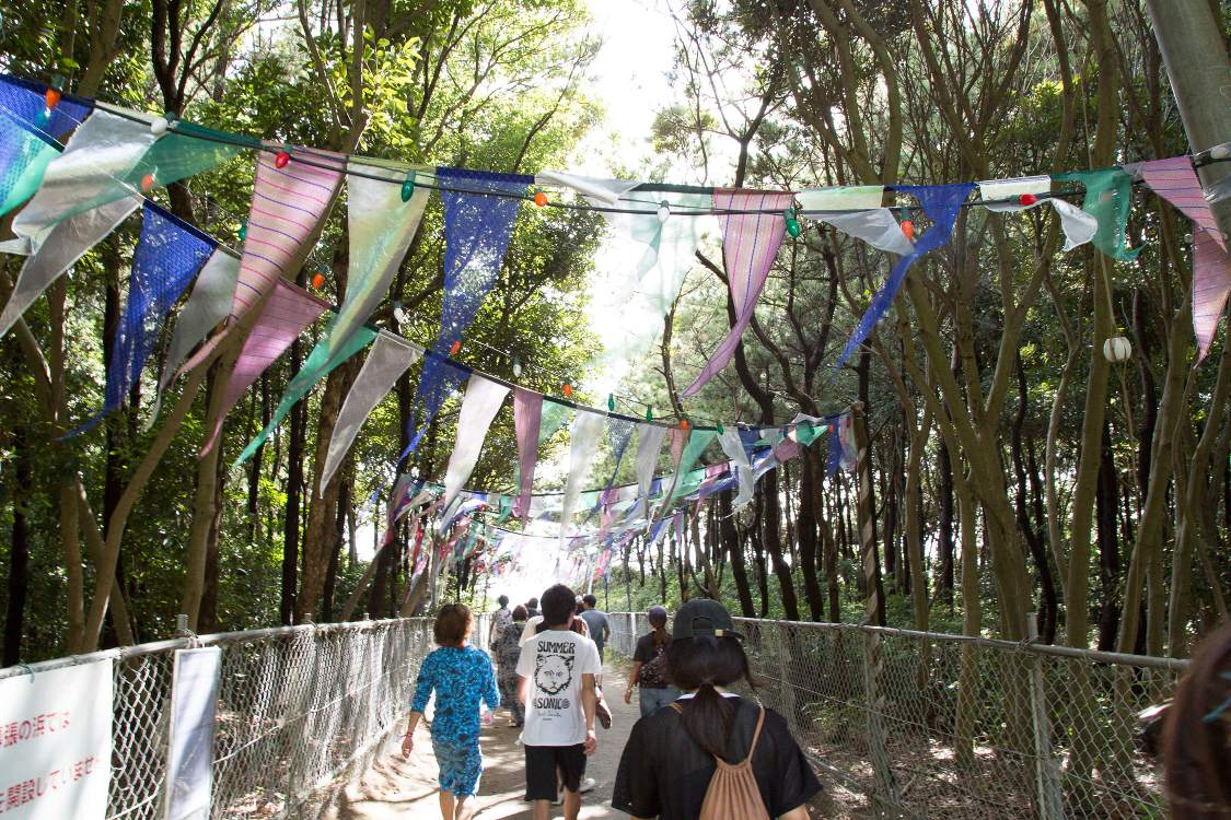 防風林を抜けます。