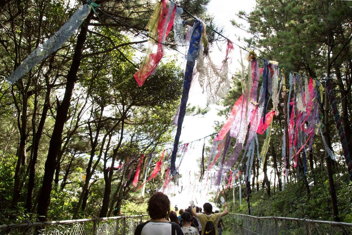 この防風林を抜けると幕張の浜。