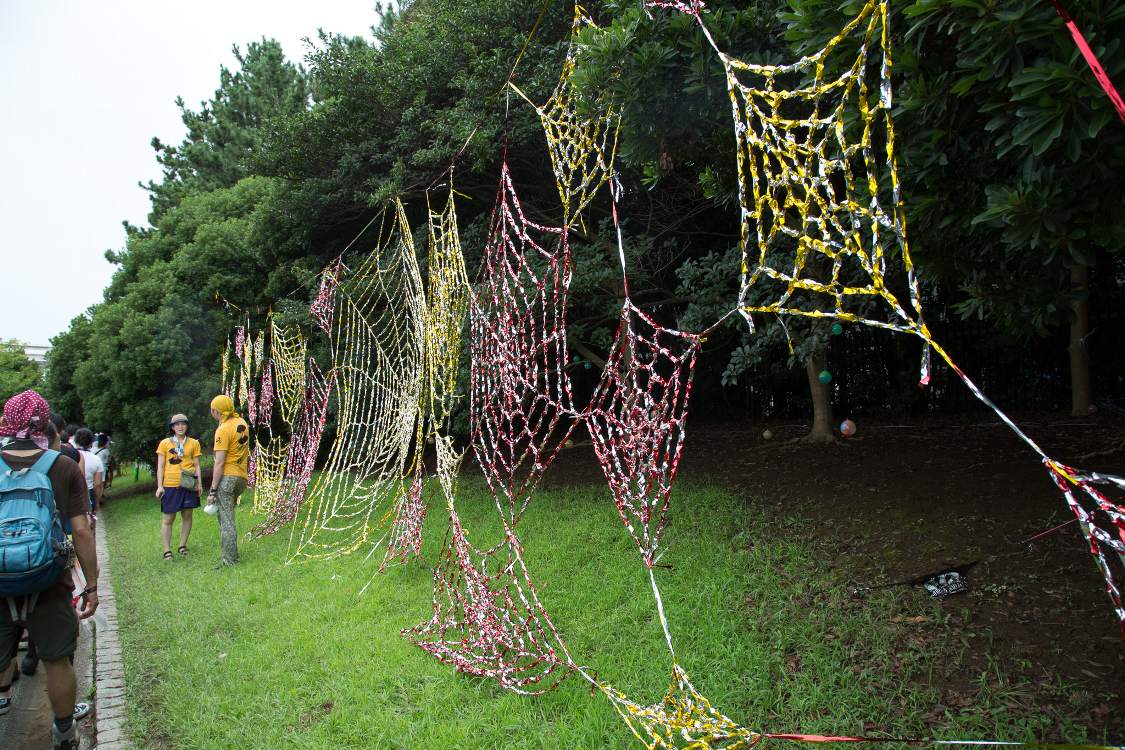 数年前にはあったようなクモの巣。