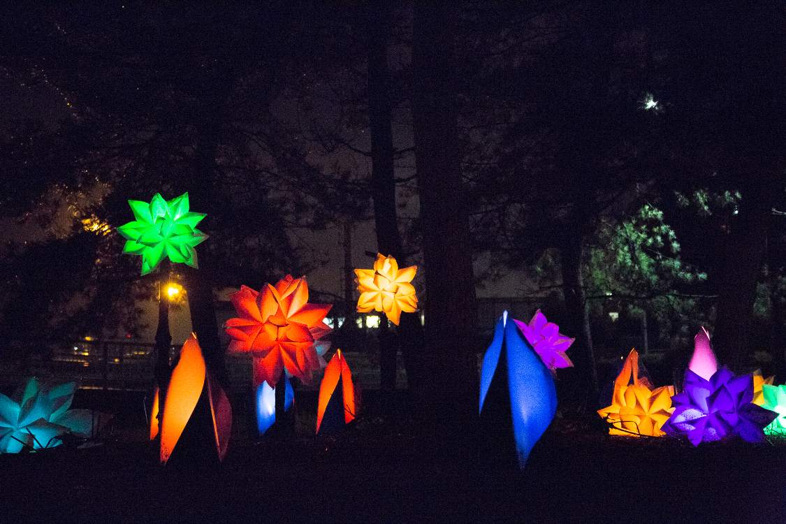 多数の電光の花が置かれています。