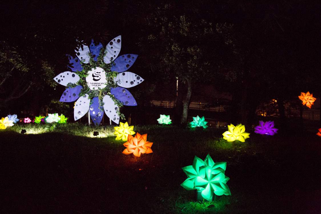 大きな花のみライトアップ。