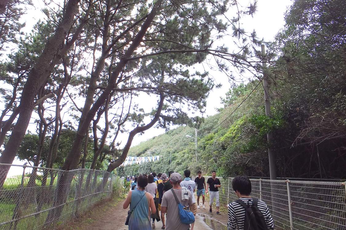 すぐ防風林に入ります。