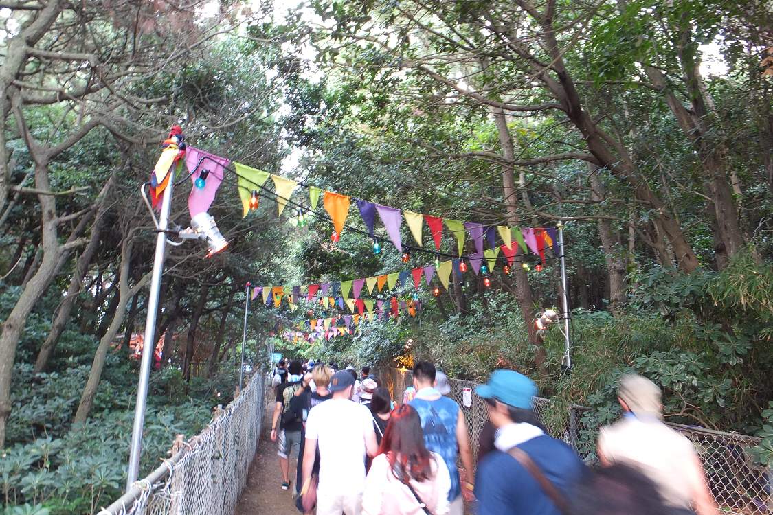 防風林を通過。