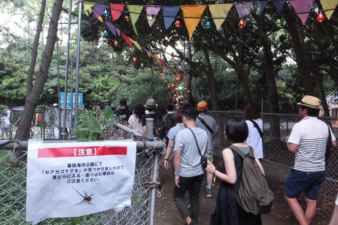 セアカゴケグモに注意の表示。