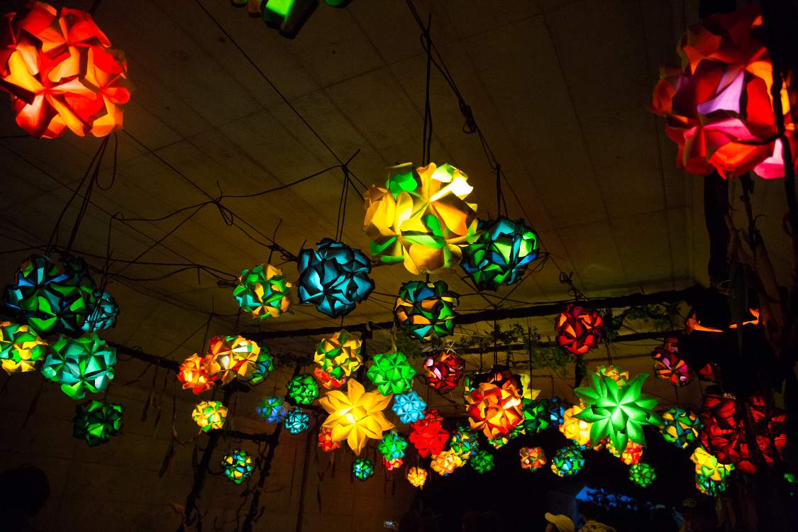 河口側は色が多彩。