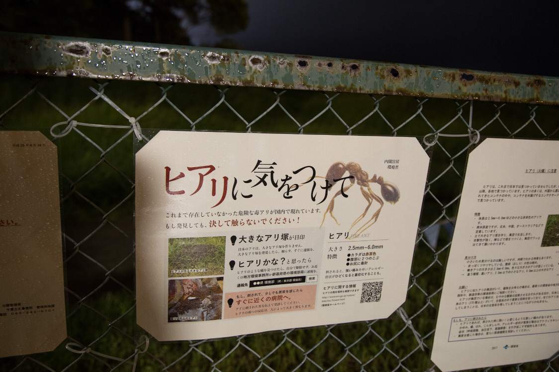 この時期に報道されていたヒアリの注意書き。