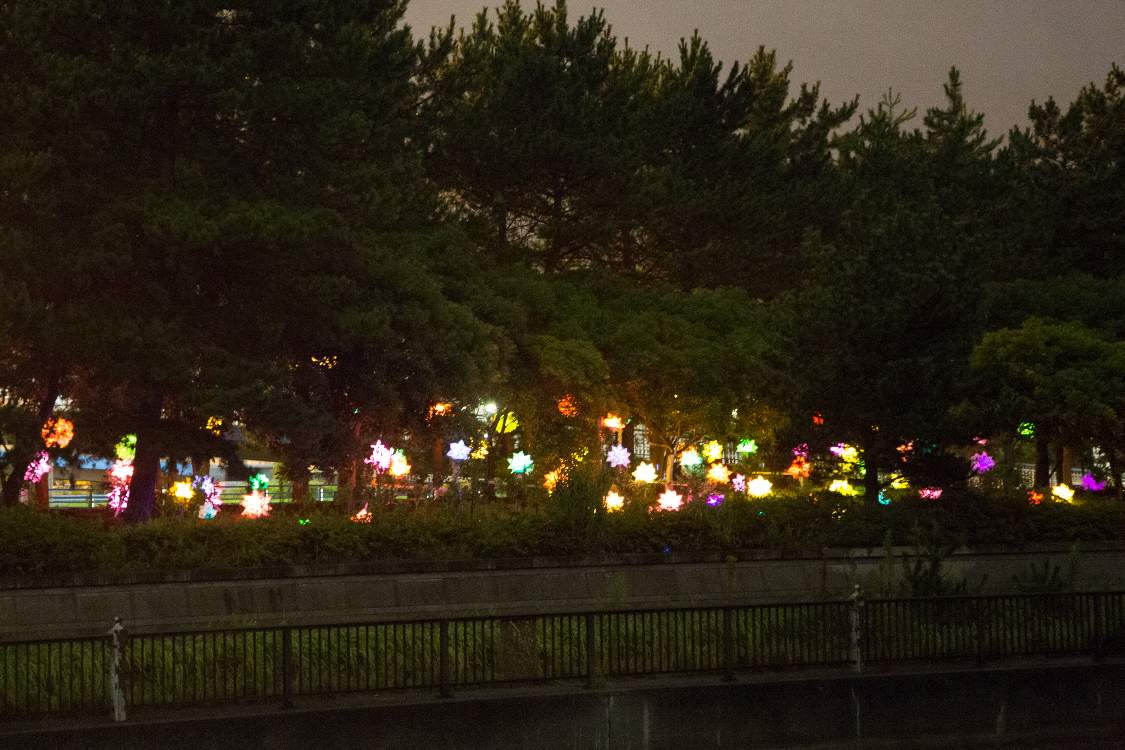 川の左岸から。