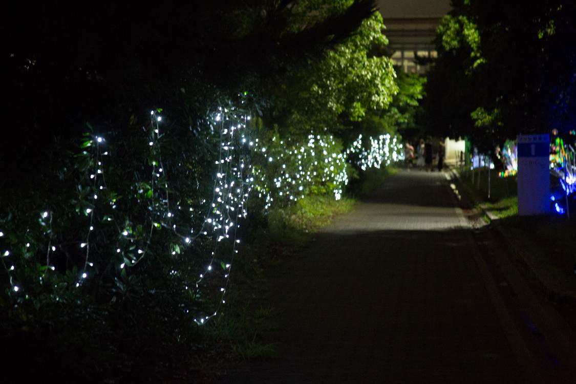 左岸の植栽の電飾はアートというよりも飾りです。
