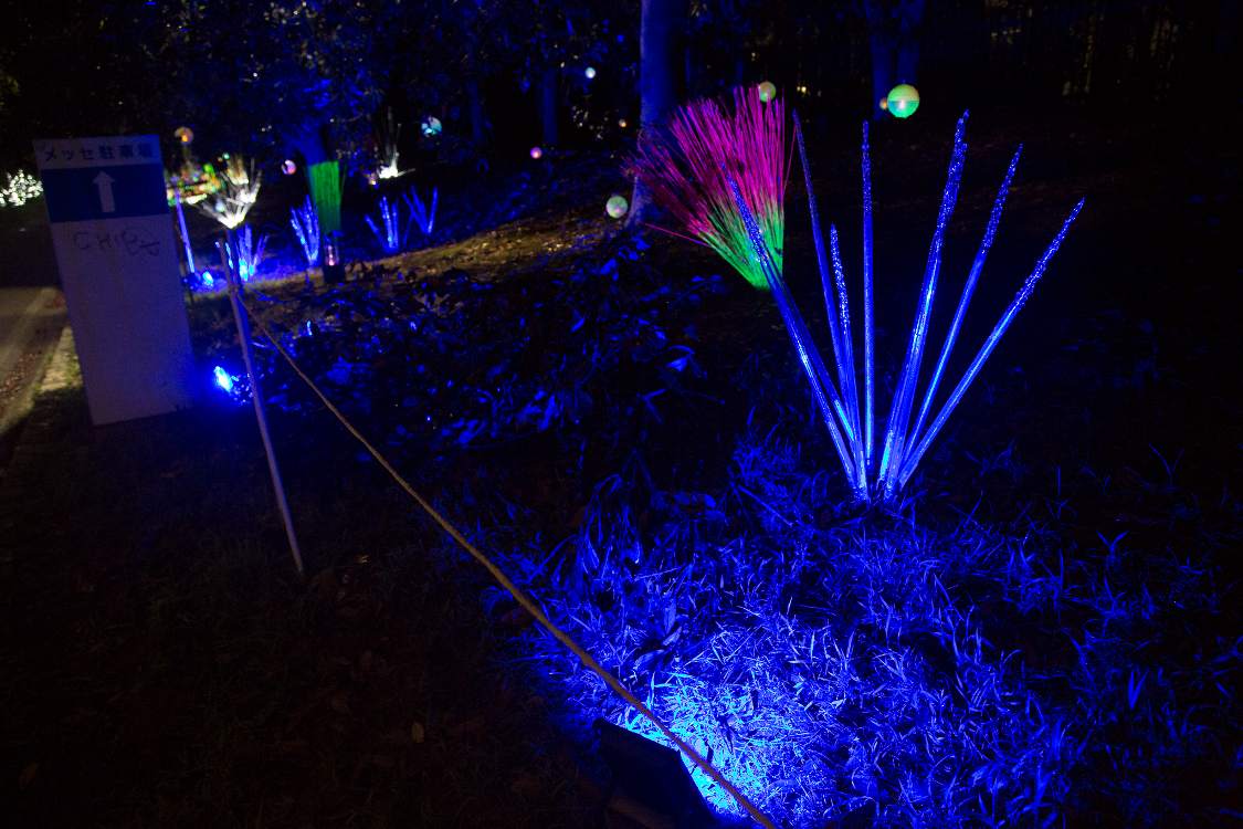 作品写真その3。