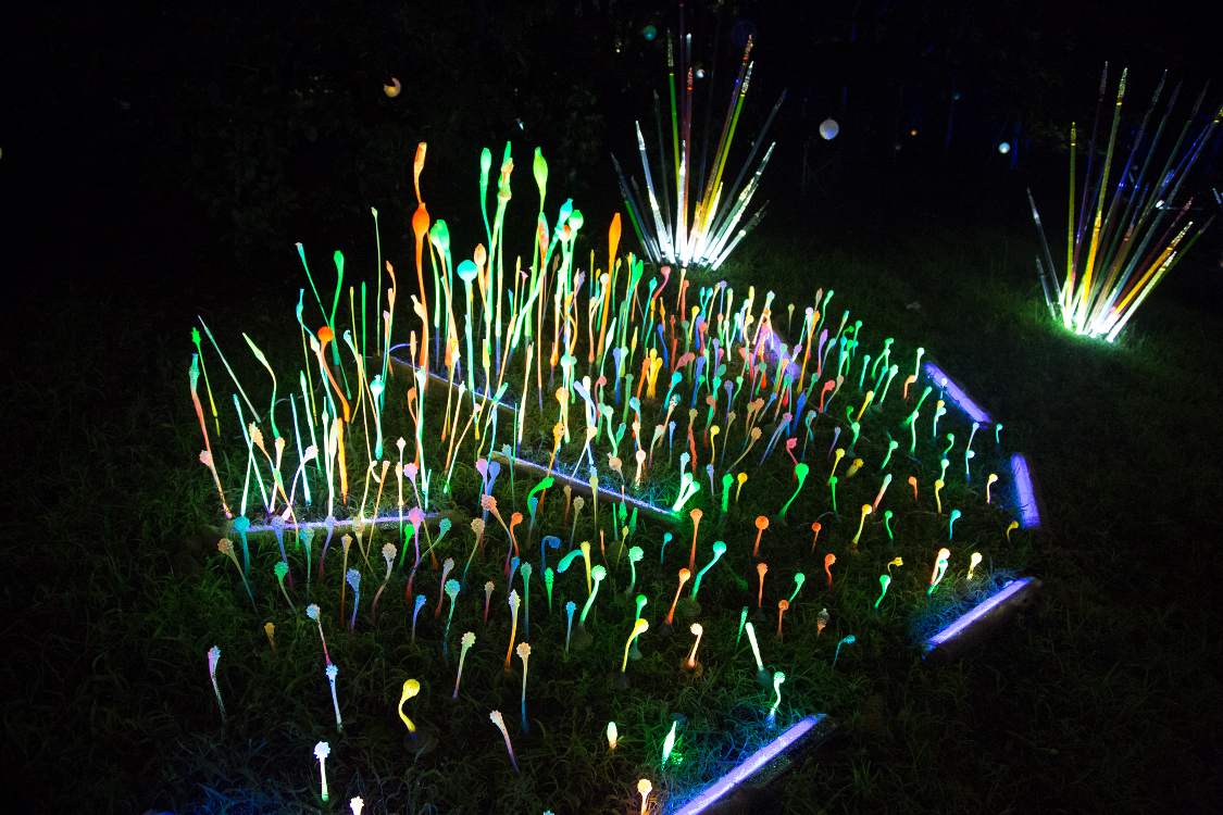 発光する植物。不気味さが意図するところなのでしょう。