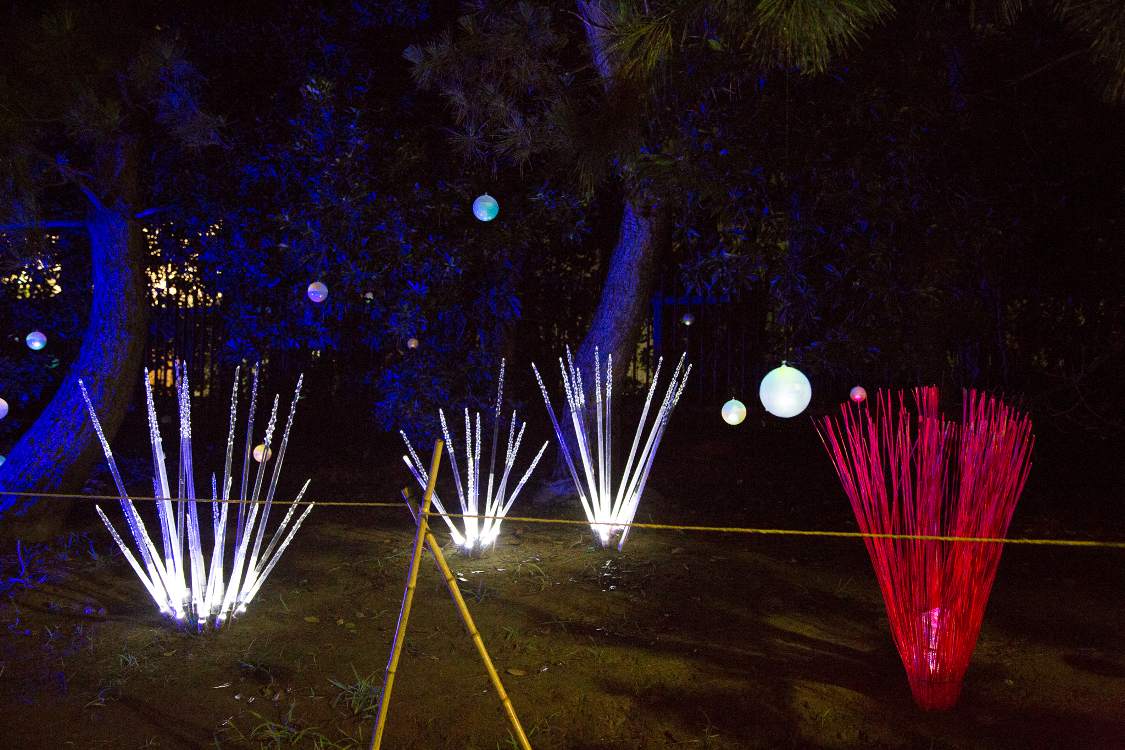 作品写真その7。