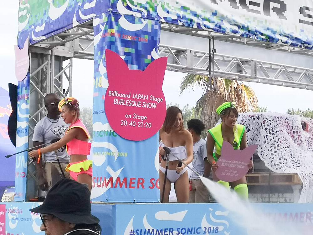 ショーのための宣伝も兼ねているというより、宣伝が目的です。