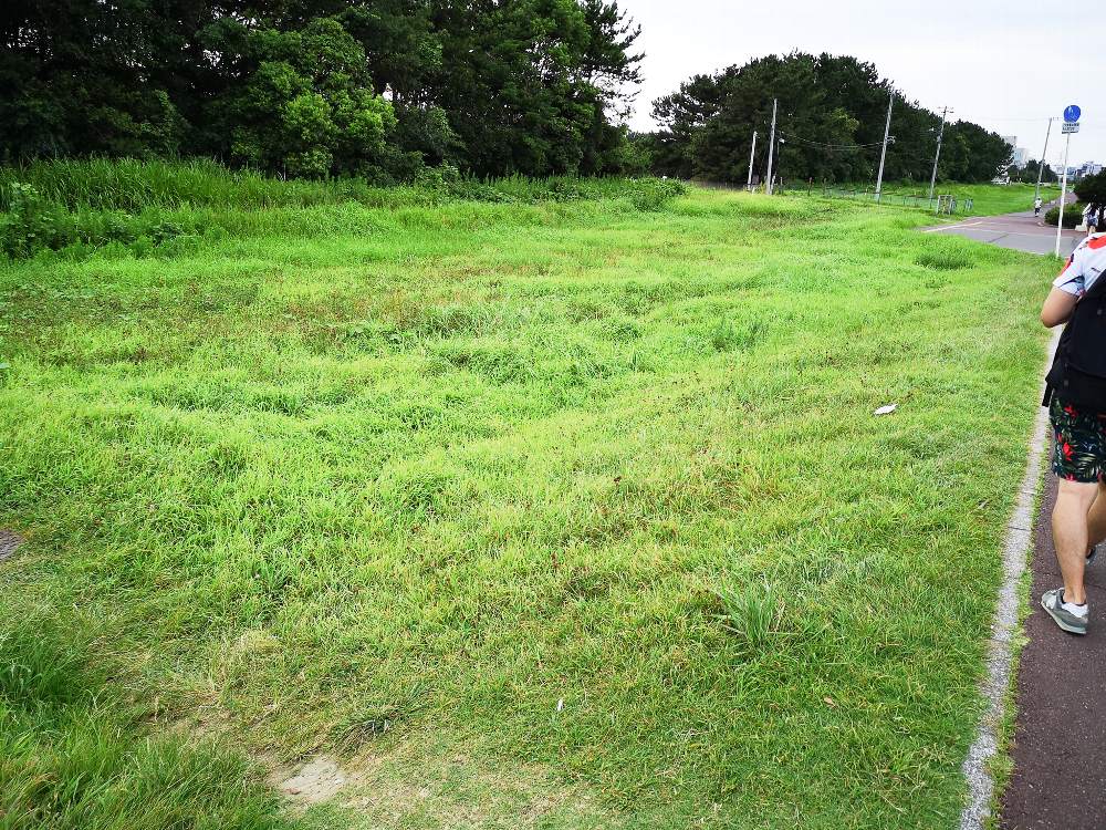 2017年まであったグリーンフィールドのスペース。2018年は何もありません。