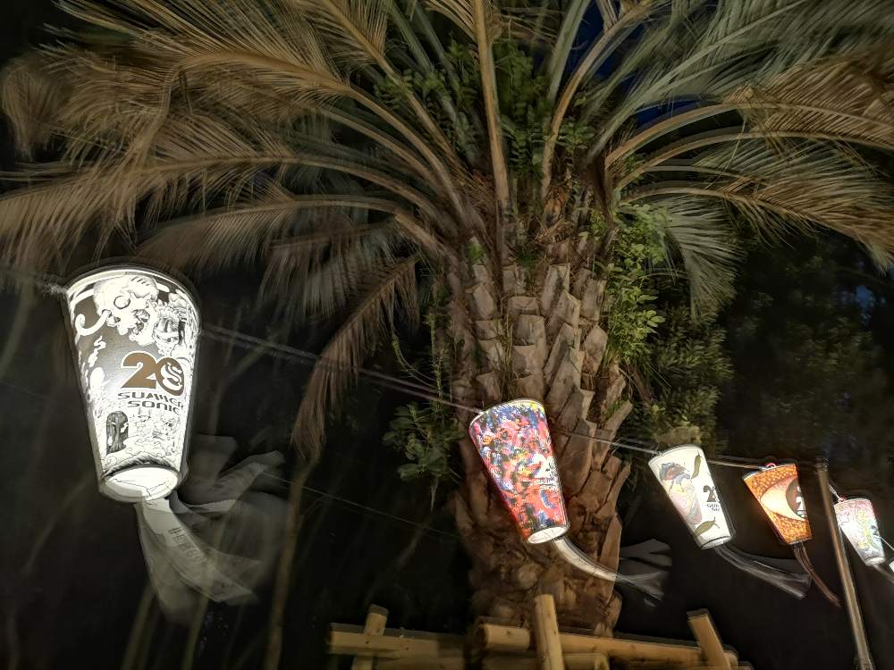 風は強めでした。