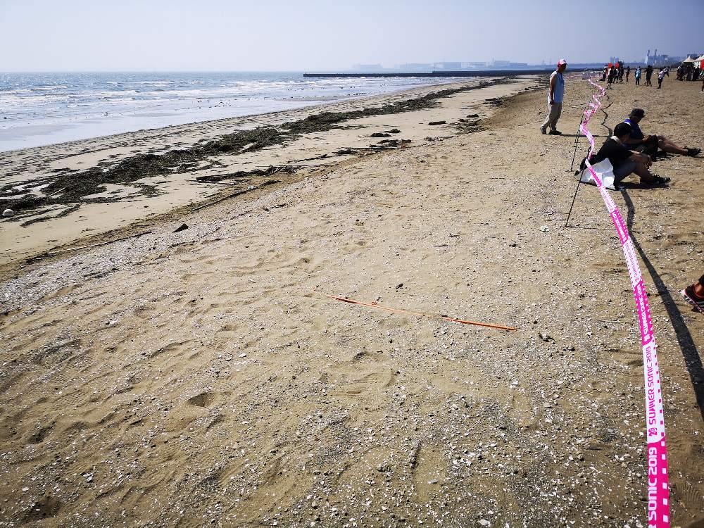 波打ち際には近づけなくなっています。