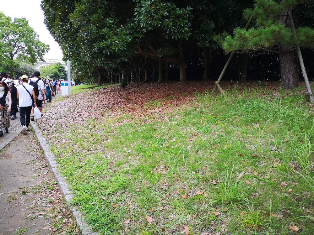 幕張メッセへの通路もソニッカートなし。