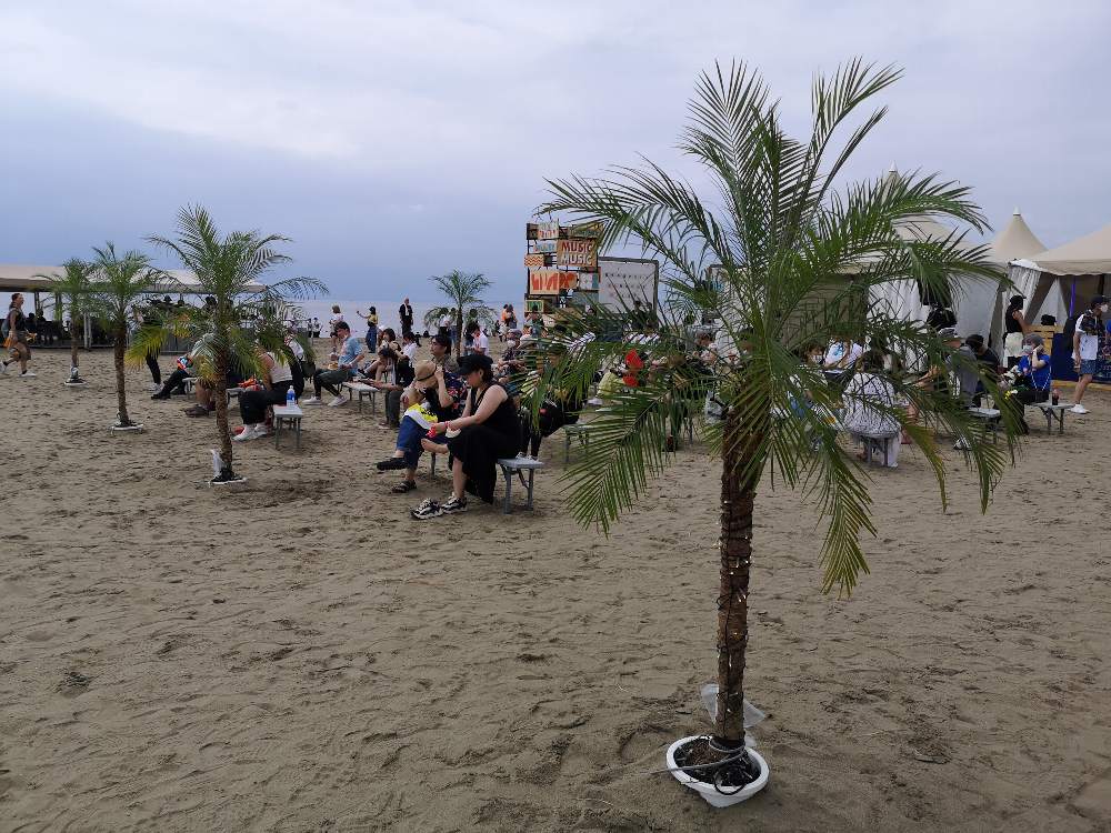 椰子の木か。鉢ごと砂に埋め込み。